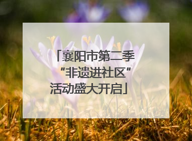 襄阳市第二季“非遗进社区”活动盛大开启