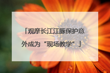 观摩长江江豚保护意外成为“现场教学”