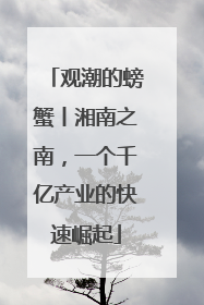 观潮的螃蟹丨湘南之南，一个千亿产业的快速崛起