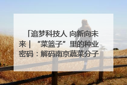 追梦科技人 向新向未来｜“菜篮子”里的种业密码：解码南京蔬菜分子育种的创新之路