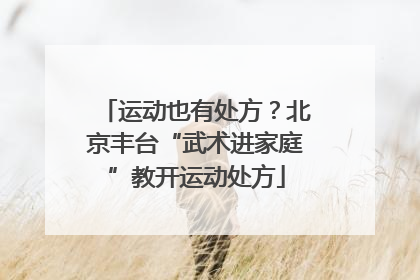 运动也有处方？北京丰台“武术进家庭”教开运动处方