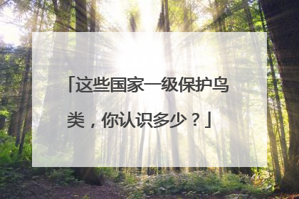 这些国家一级保护鸟类，你认识多少？