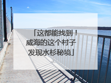 这都能找到！威海的这个村子发现水杉秘境