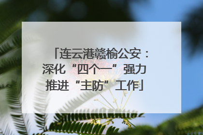 连云港赣榆公安：深化“四个一”强力推进“主防”工作