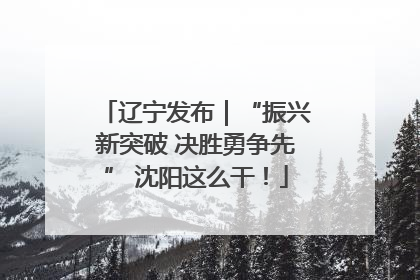 辽宁发布｜“振兴新突破 决胜勇争先” 沈阳这么干！