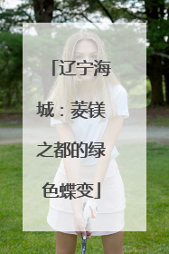 辽宁海城：菱镁之都的绿色蝶变