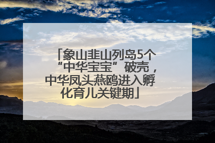 象山韭山列岛5个“中华宝宝”破壳，中华凤头燕鸥进入孵化育儿关键期