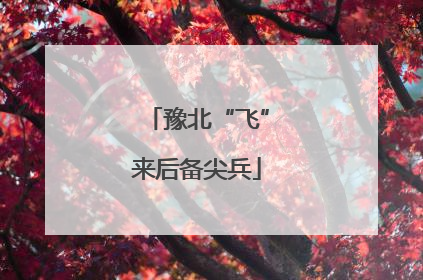 豫北“飞”来后备尖兵