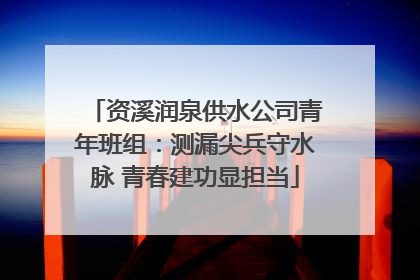 资溪润泉供水公司青年班组：测漏尖兵守水脉 青春建功显担当