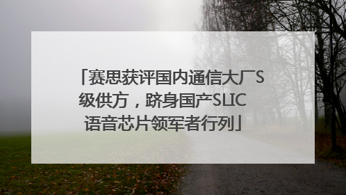 赛思获评国内通信大厂S级供方，跻身国产SLIC语音芯片领军者行列