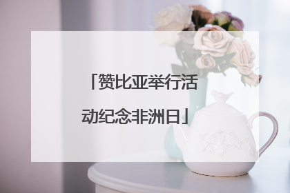 赞比亚举行活动纪念非洲日