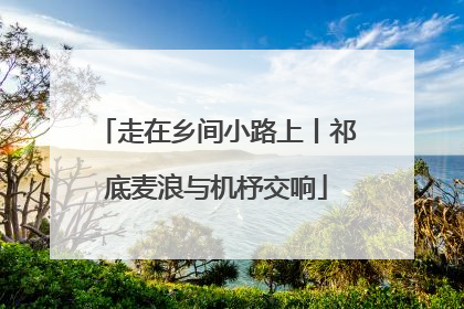走在乡间小路上丨祁底麦浪与机杼交响