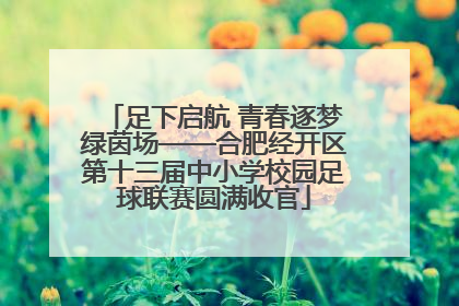 足下启航 青春逐梦绿茵场——合肥经开区第十三届中小学校园足球联赛圆满收官