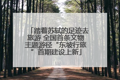 踏着苏轼的足迹去旅游 全国首条文物主题游径“东坡行旅”首期建设上新