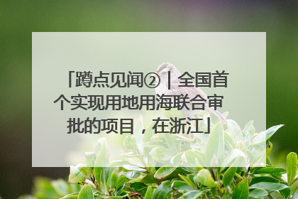蹲点见闻②｜全国首个实现用地用海联合审批的项目，在浙江