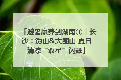 避暑康养到湖南①丨长沙：沩山&大围山 夏日清凉“双星”闪耀