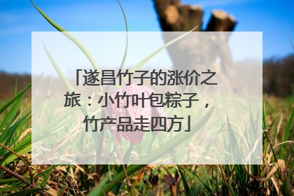 遂昌竹子的涨价之旅：小竹叶包粽子，竹产品走四方