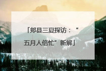 郏县三夏探访：“五月人倍忙”新解