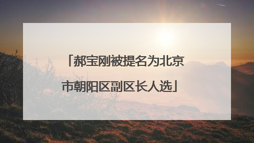 郝宝刚被提名为北京市朝阳区副区长人选