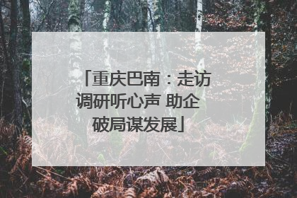 重庆巴南：走访调研听心声 助企破局谋发展