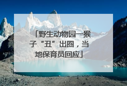 野生动物园一猴子“丑”出圈，当地保育员回应