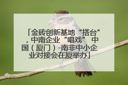 金砖创新基地“搭台”，中南企业“唱戏” 中国（厦门）-南非中小企业对接会在厦举办