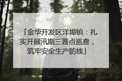 金华开发区洋埠镇：扎实开展汛期三普点巡查，筑牢安全生产防线
