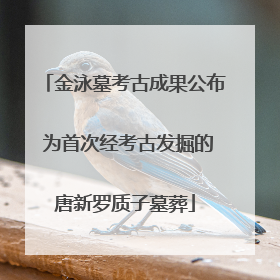 金泳墓考古成果公布 为首次经考古发掘的唐新罗质子墓葬