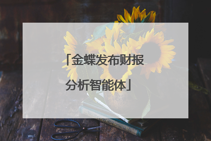 金蝶发布财报分析智能体
