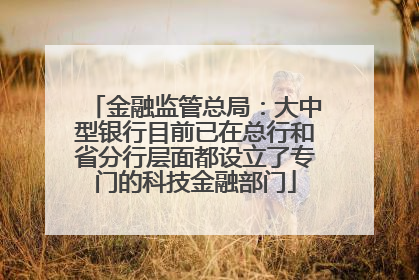 金融监管总局：大中型银行目前已在总行和省分行层面都设立了专门的科技金融部门