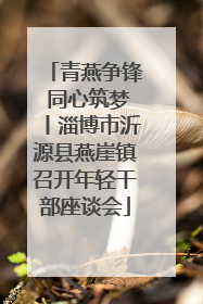 青燕争锋 同心筑梦丨淄博市沂源县燕崖镇召开年轻干部座谈会