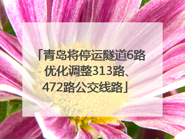青岛将停运隧道6路 优化调整313路、472路公交线路