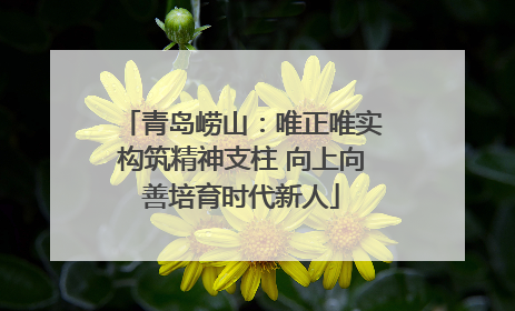 青岛崂山：唯正唯实构筑精神支柱 向上向善培育时代新人