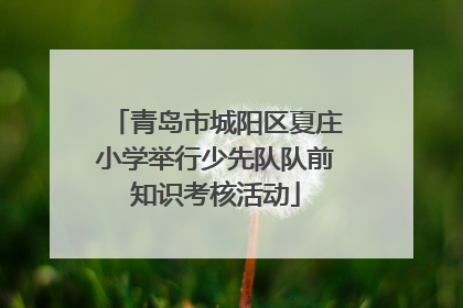 青岛市城阳区夏庄小学举行少先队队前知识考核活动