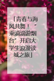 青春与海风共舞！“乘滴滴游烟台”开启大学生浪漫读城之旅