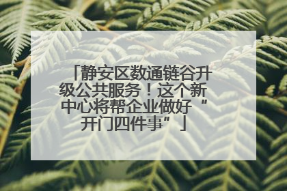 静安区数通链谷升级公共服务！这个新中心将帮企业做好“开门四件事”