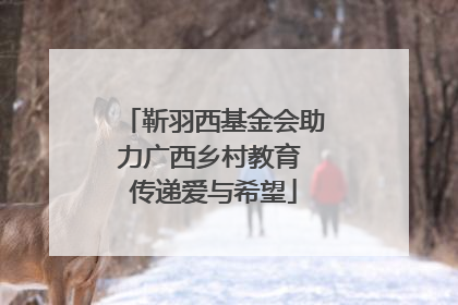 靳羽西基金会助力广西乡村教育 传递爱与希望