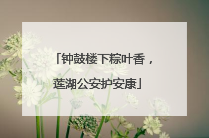 钟鼓楼下粽叶香，莲湖公安护安康