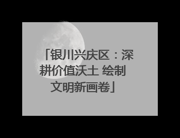 银川兴庆区：深耕价值沃土 绘制文明新画卷