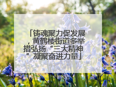 铸魂聚力促发展，黄鹤楼街道多举措弘扬“三大精神”凝聚奋进力量