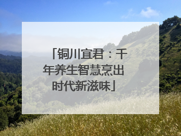 铜川宜君：千年养生智慧烹出时代新滋味