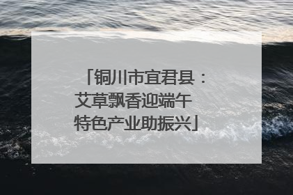 铜川市宜君县：艾草飘香迎端午 特色产业助振兴