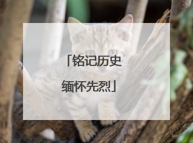 铭记历史 缅怀先烈