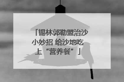 锡林郭勒盟治沙小妙招 给沙地吃上“营养餐”