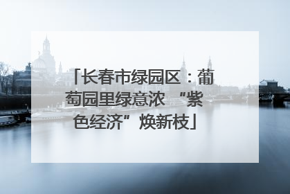 长春市绿园区：葡萄园里绿意浓 “紫色经济”焕新枝