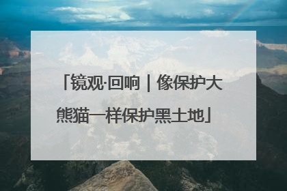 镜观·回响｜像保护大熊猫一样保护黑土地