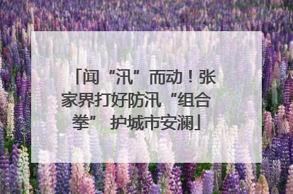 闻“汛”而动！张家界打好防汛“组合拳” 护城市安澜