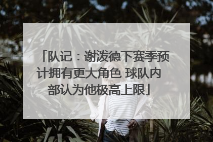 队记：谢泼德下赛季预计拥有更大角色 球队内部认为他极高上限