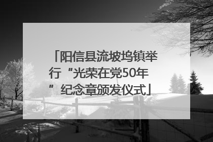 阳信县流坡坞镇举行“光荣在党50年”纪念章颁发仪式