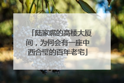 陆家嘴的高楼大厦间，为何会有一座中西合璧的百年老宅